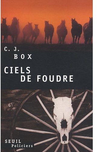 Ciels de foudre - flash vidéo