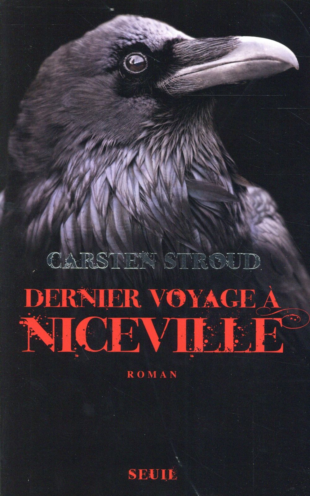 Dernier voyage à Niceville - flash vidéo