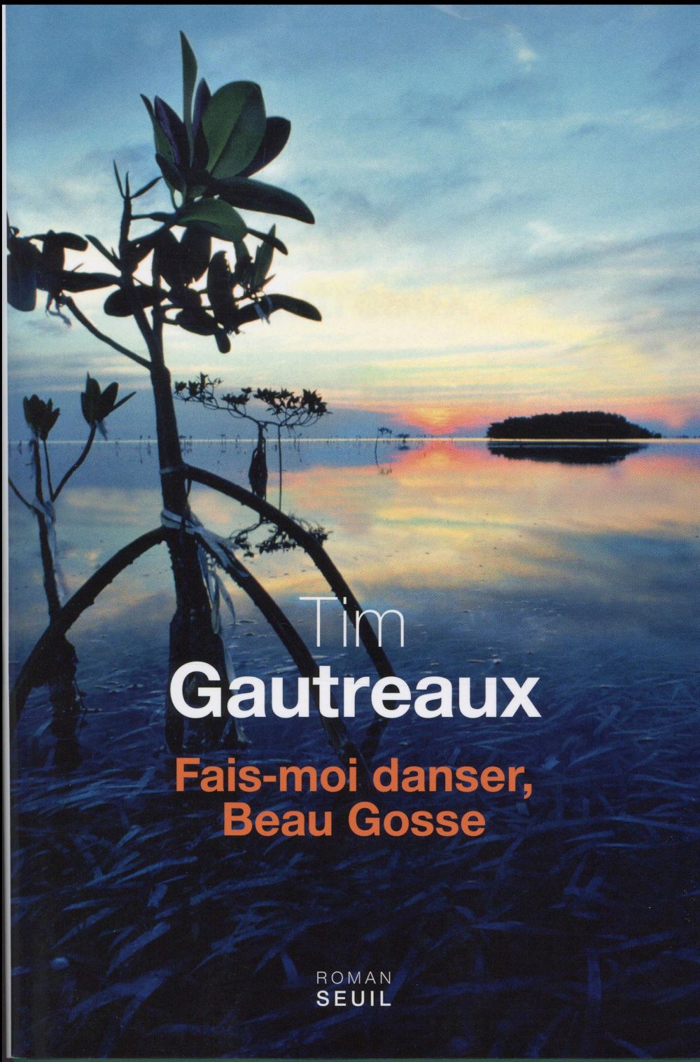 Fais-moi danser, beau gosse