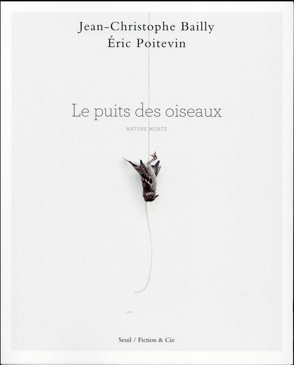 Le puits des oiseaux ; nature morte