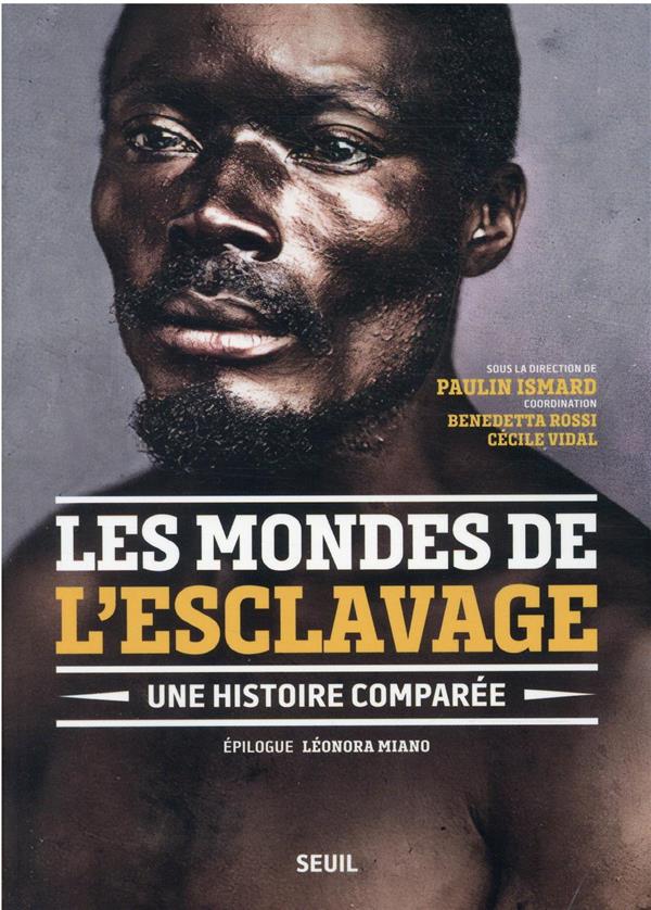 Les mondes de l'esclavage : une histoire comparée - flash vidéo
