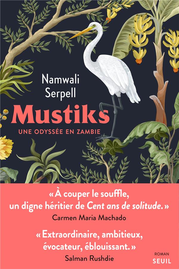 Mustiks, une odyssée en Zambie - flash vidéo