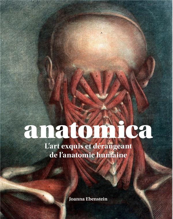 Anatomica ; l'art exquis et dérangeant de l'anatomie humaine - flash vidéo