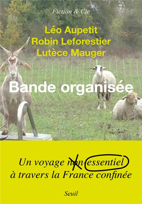 Bande organisée - flash vidéo