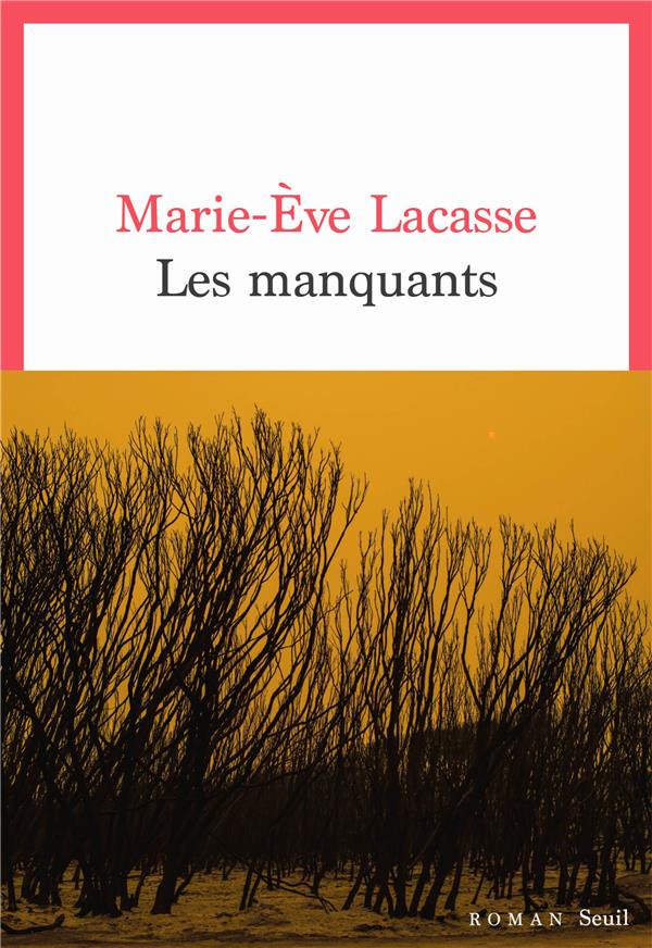 Les manquants - flash vidéo