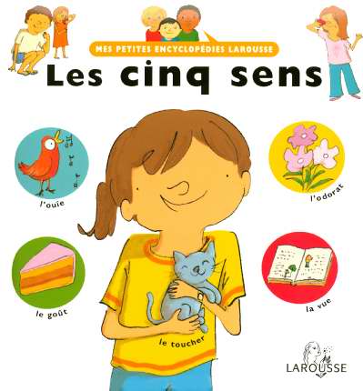 Les cinq sens