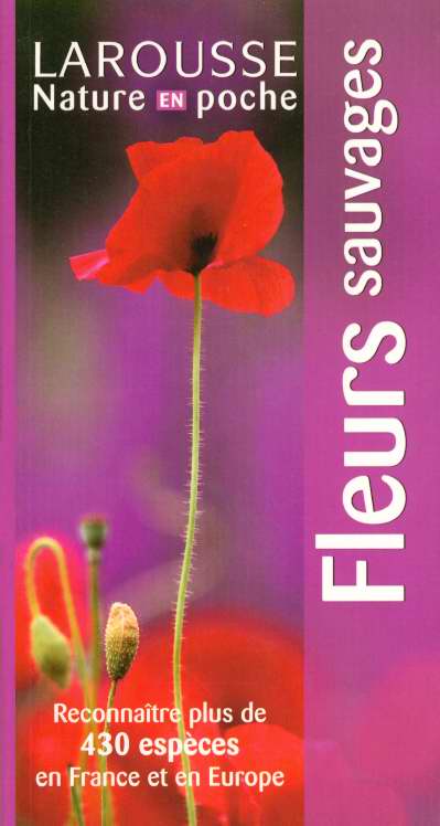 Les fleurs sauvages