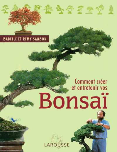 Comment creer et entretenir vos bonsai