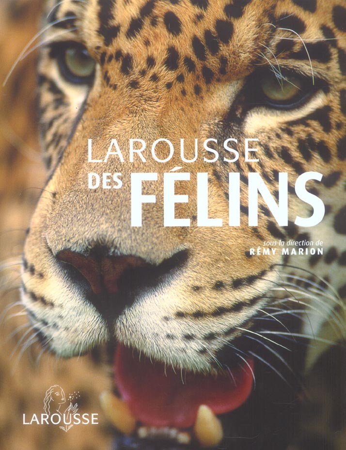 Larousse des felins