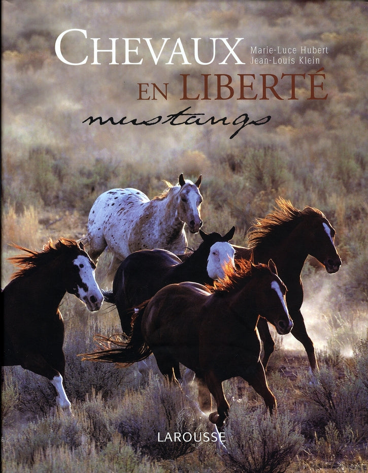 Chevaux en liberté ; mustangs