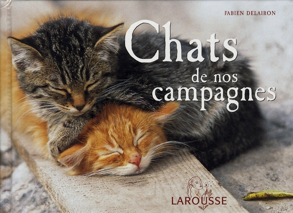 Chats de nos campagnes