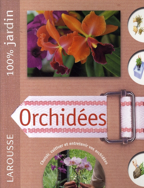 Orchidées