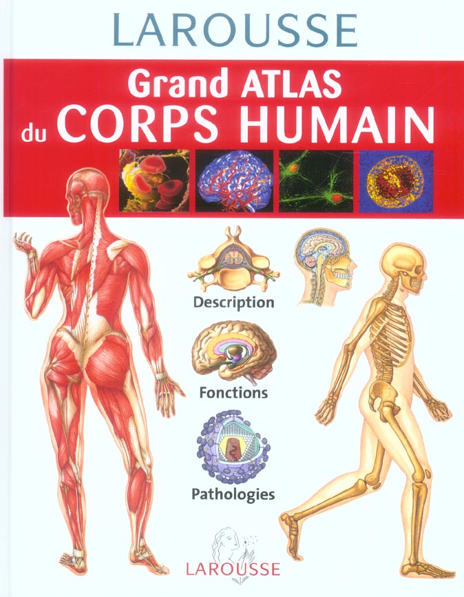Grand atlas du corps humain