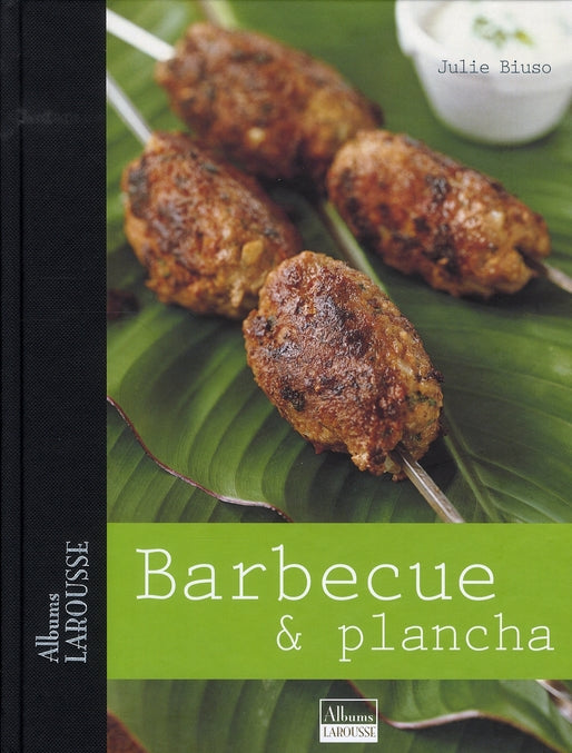 Barbecue et plancha