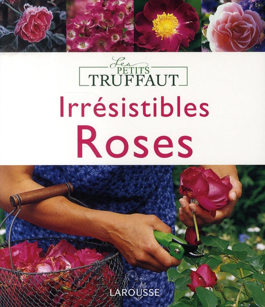 Irrésistibles roses