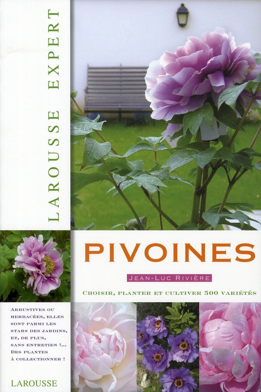 Pivoines