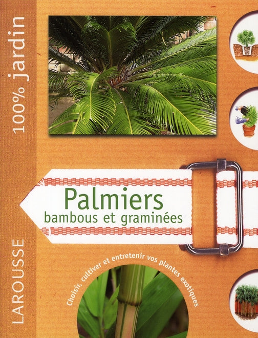 Palmiers, bambous et graminées
