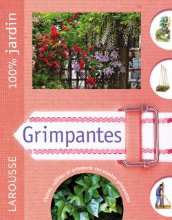 Grimpantes