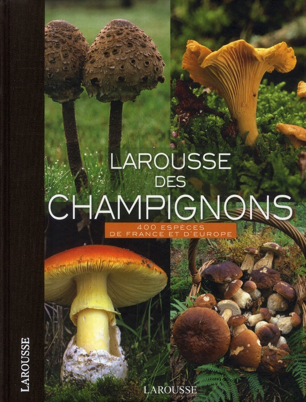 Larousse des champignons ; 400 espèces de France et d'Europe