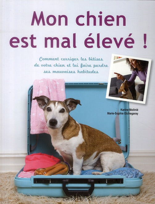 Mon chien est mal élevé !