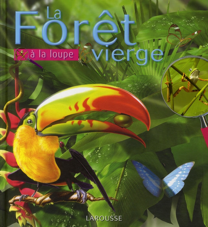 La forêt vierge