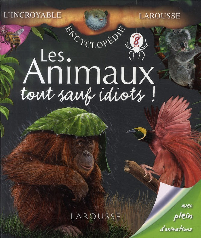 Les animaux tout sauf idiots !