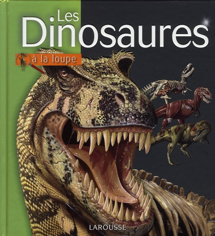Les dinosaures