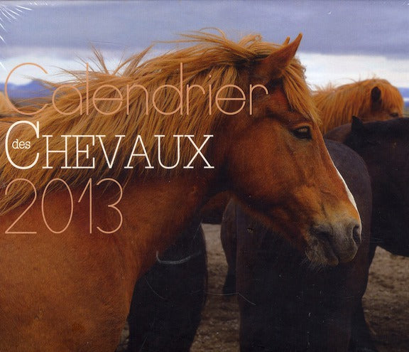 Chevaux et poneys ; calendrier 2013