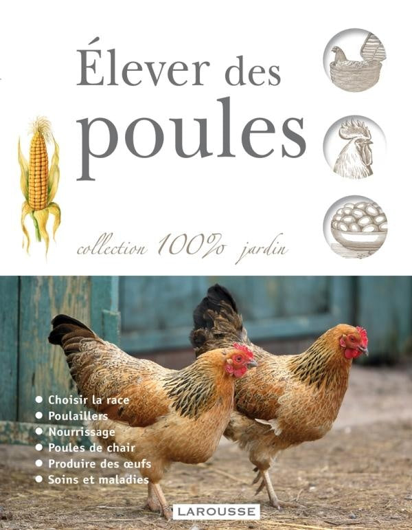 élever des poules