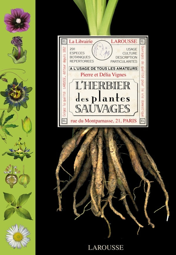 L'herbier des plantes sauvages (édition 2011)