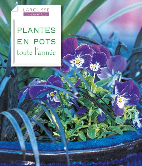 Plantes en pots pour toute l'année