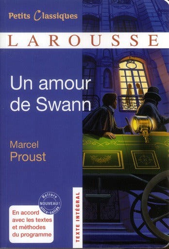 à la recherche du temps perdu : un amour de Swann