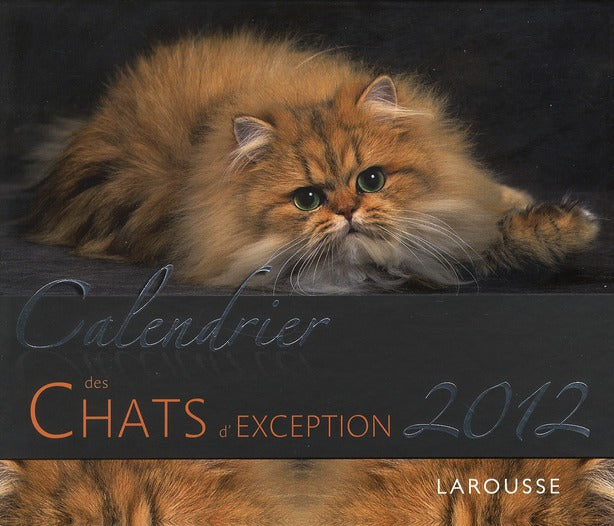 Calendrier chats d'exception 2012