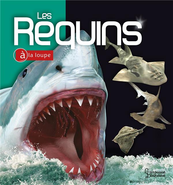 Les requins à la loupe