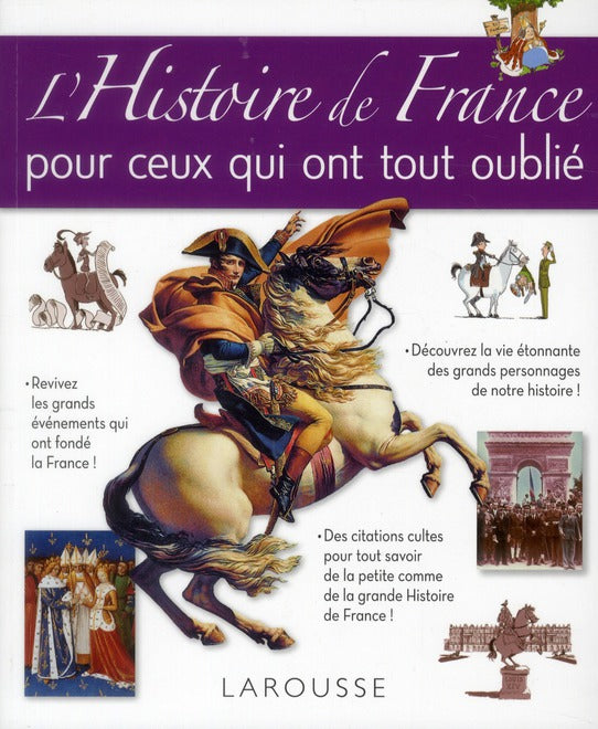 L'histoire de France pour ceux qui ont tout oublié