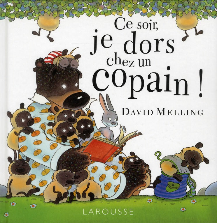Ce soir, je dors chez un copain !