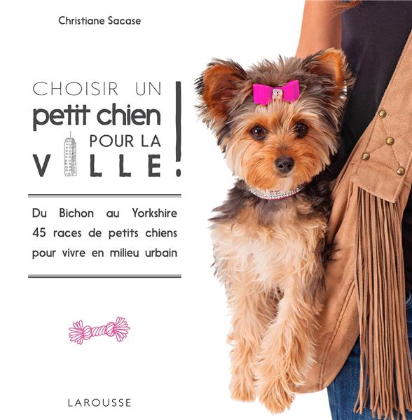 Choisir un petit chien pour la ville