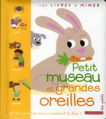 Petit museau et grandes oreilles