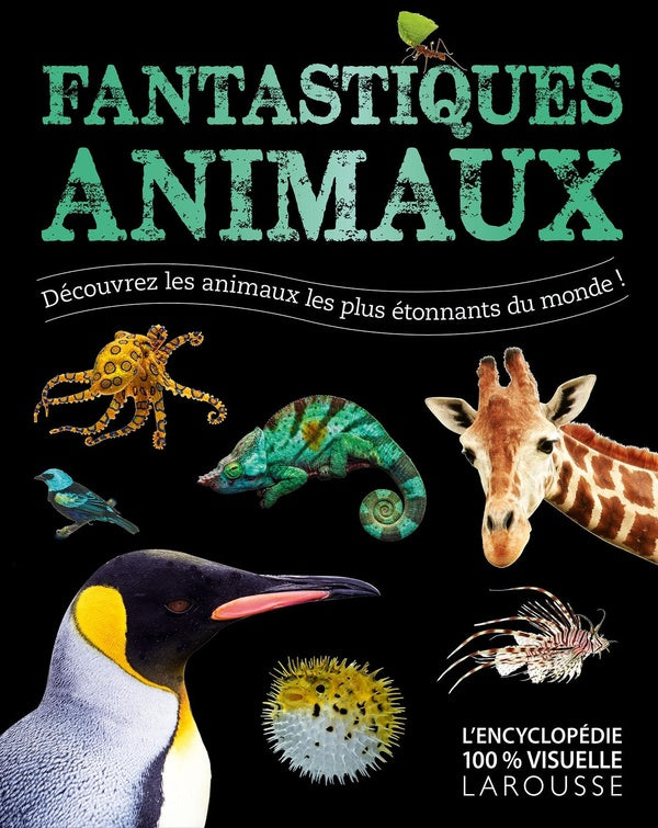 Fantastiques animaux ; découvrez les animaux les plus étonnantes du monde !
