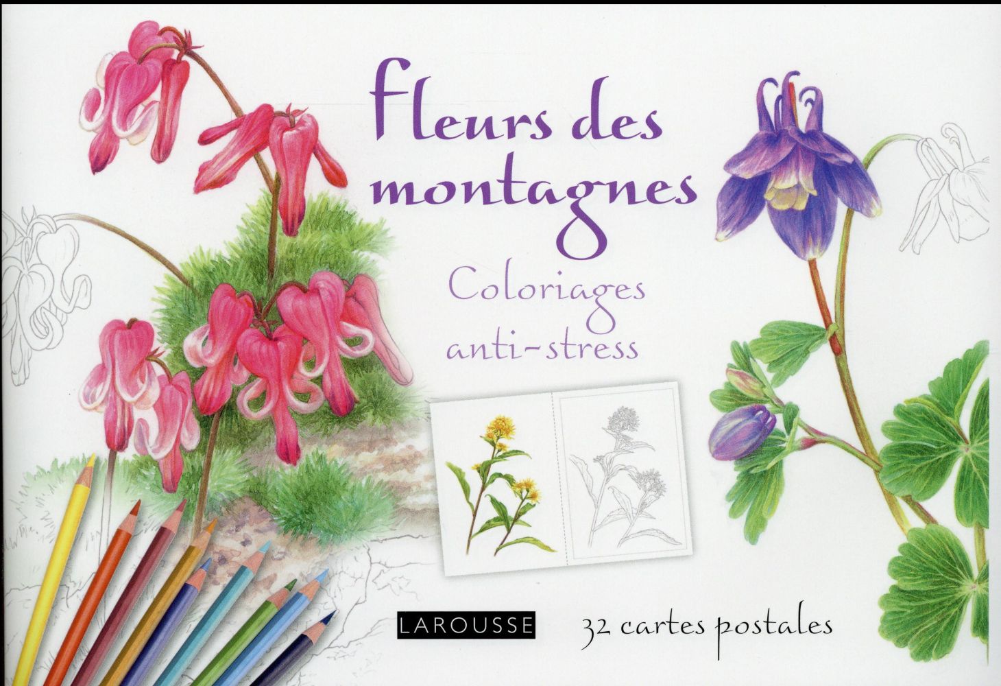 Cartes postales ; fleurs de montagne ; coloriages anti-stress