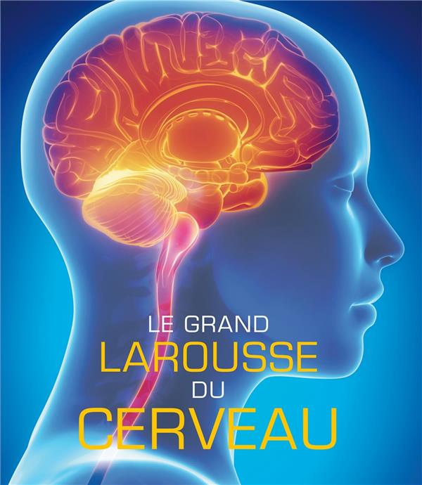 Le grand larousse du cerveau