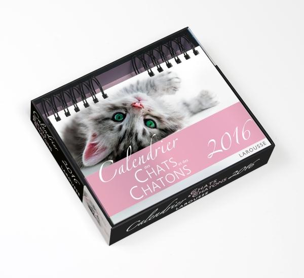 Chats et chatons ; calendrier (édition 2016)