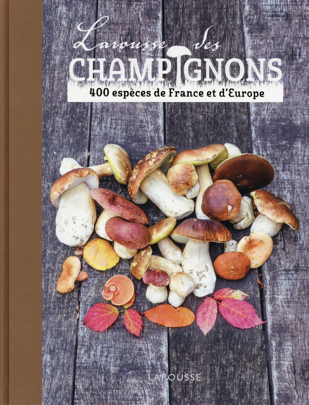 Larousse des champignons