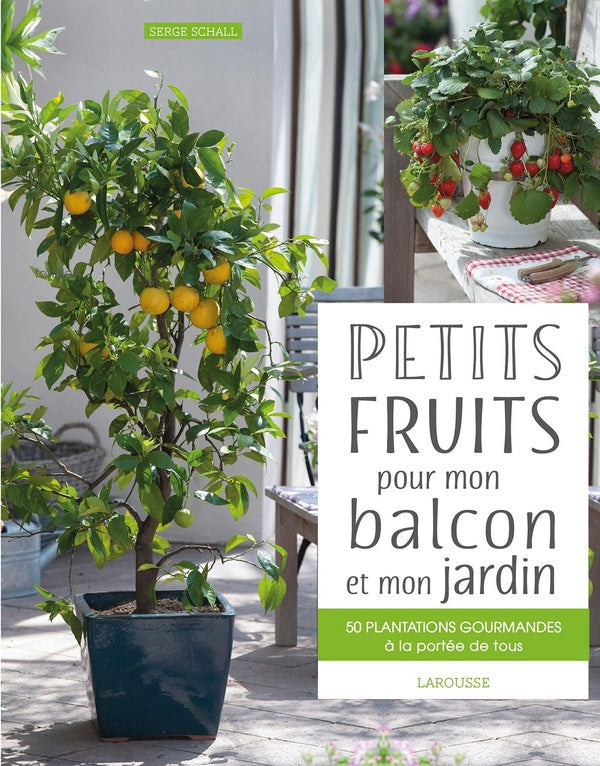 Petits fruits pour mon balcon et mon jardin ; 50 plantations gourmandes à la portée de tous