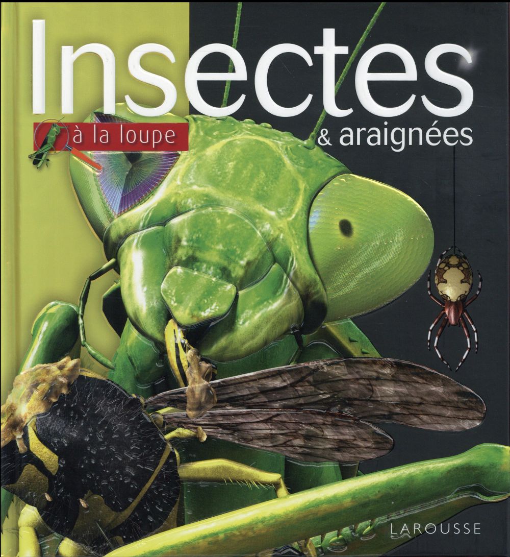 Les insectes et araignées