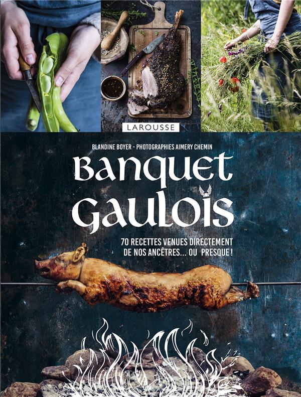 Banquet gaulois ; 70 recettes venues directement de nos ancêtres... ou presque !