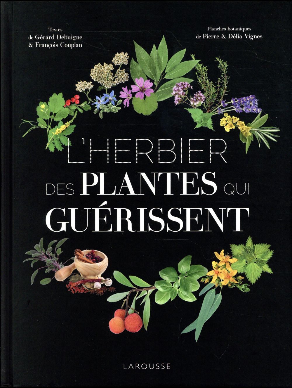 L'herbier des plantes qui guérissent