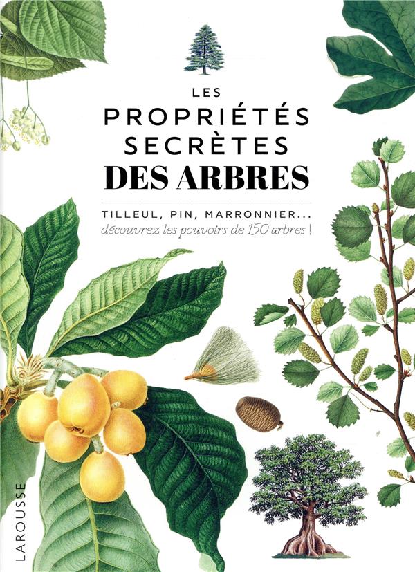 Les propriétés secrètes des arbres
