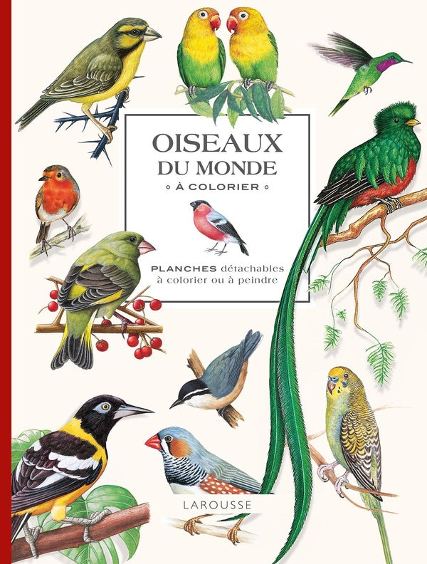 Oiseaux du monde à colorier
