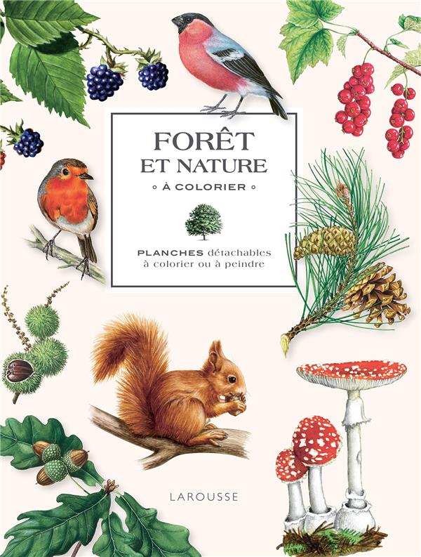 Forêt et nature à colorier ; Planches détachables à colorier ou à peindre